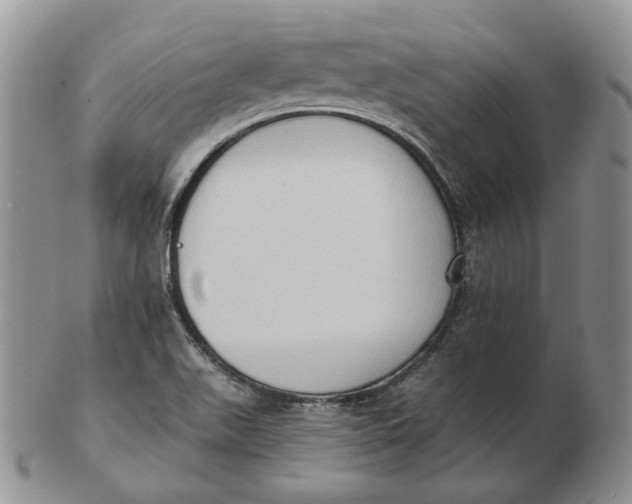 X0000103151511200809121804