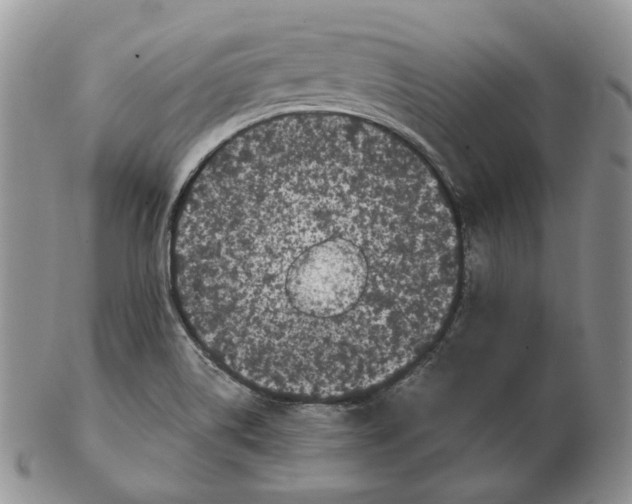 X0000103151514200809121804