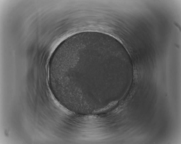 X0000103151515200809121804