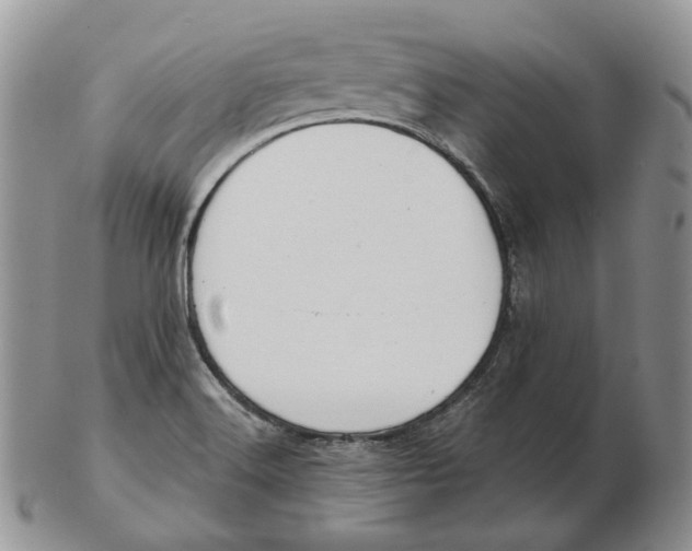 X0000103151516200809121804