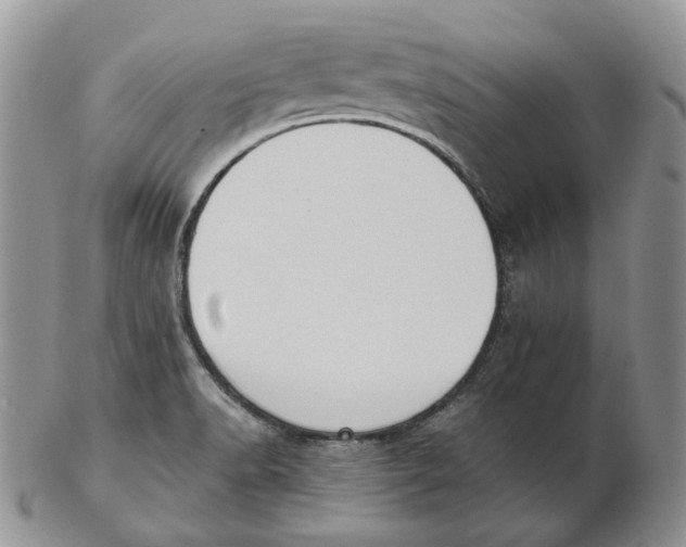 X0000103151518200809121805