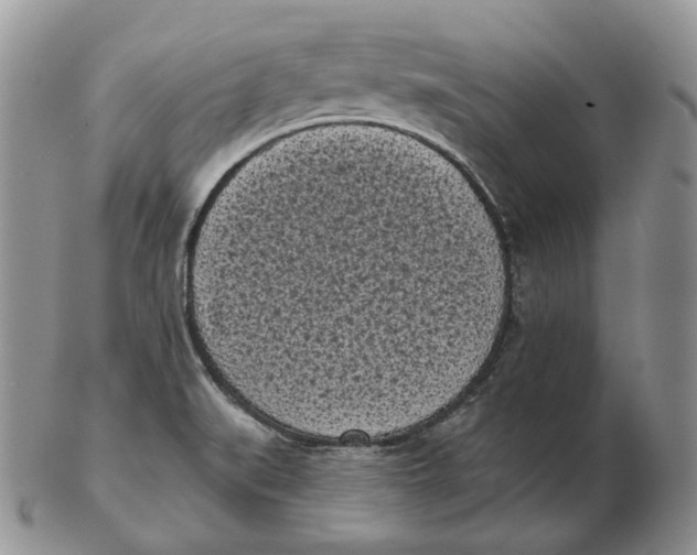 X0000103151519200809121805