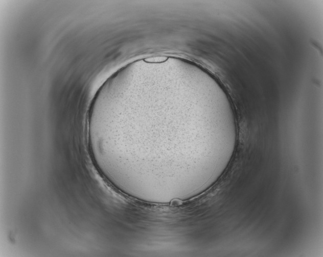 X0000103151520200809121805