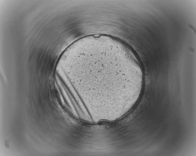 X0000103151521200809121805