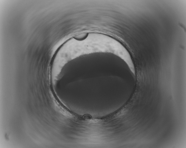 X0000103151522200809121805