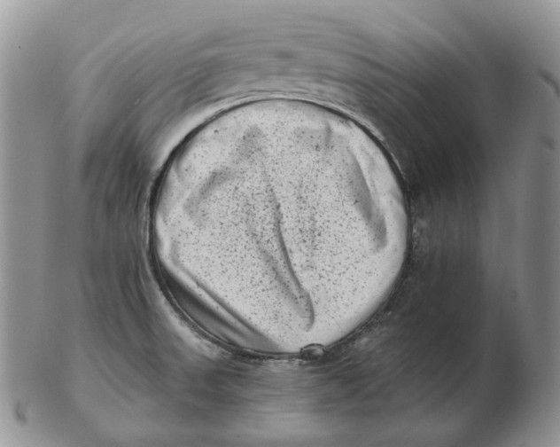 X0000103151523200809121805