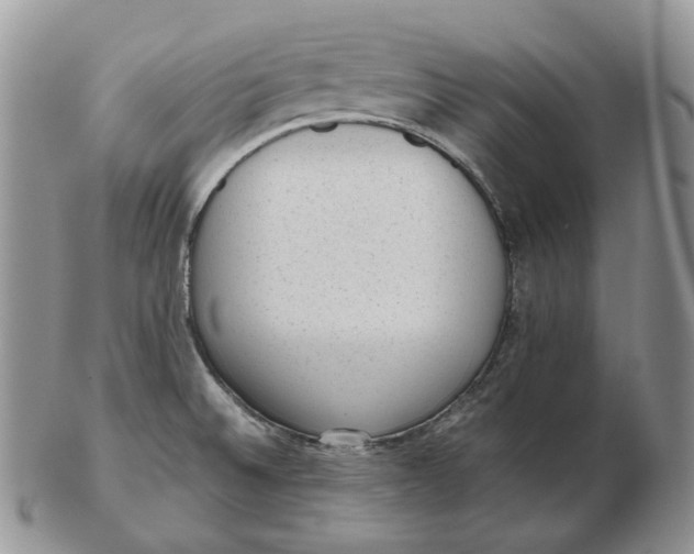 X0000103151524200809121805