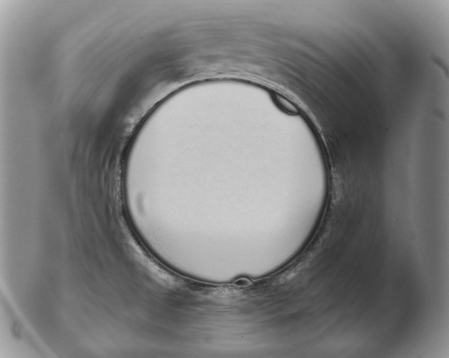 X0000103151525200809121805