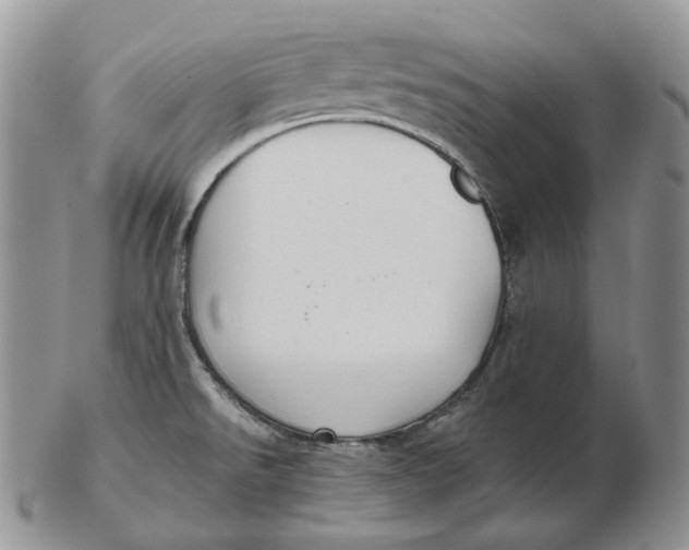 X0000103151526200809121805