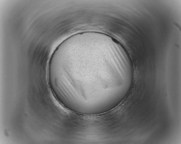 X0000103151528200809121805