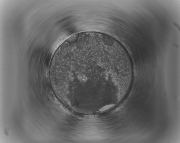 X0000103151529200809121805