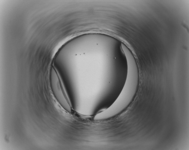 X0000103151530200809121805