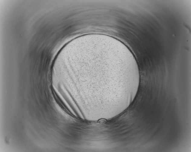 X0000103151531200809121805