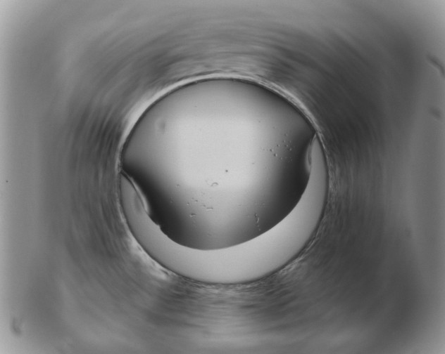 X0000103151532200809121805