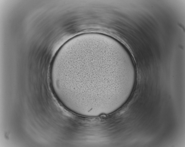 X0000103151533200809121805