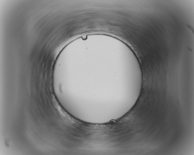 X0000103151534200809121805