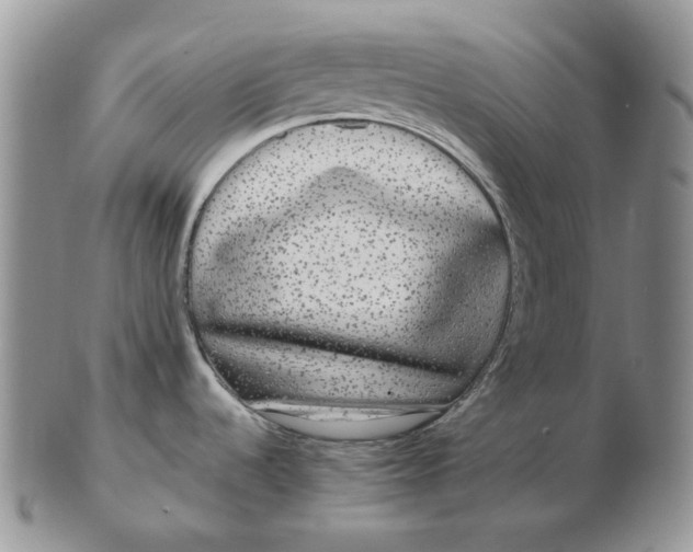 X0000103151536200809121805