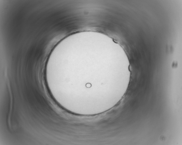 X0000103150001200809192041