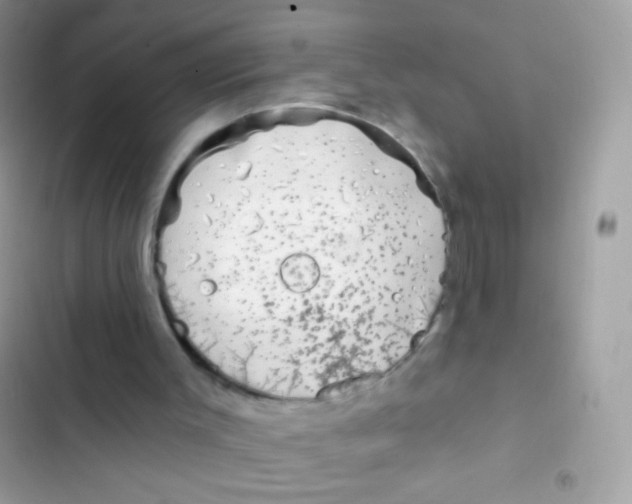 X0000103150003200809192041