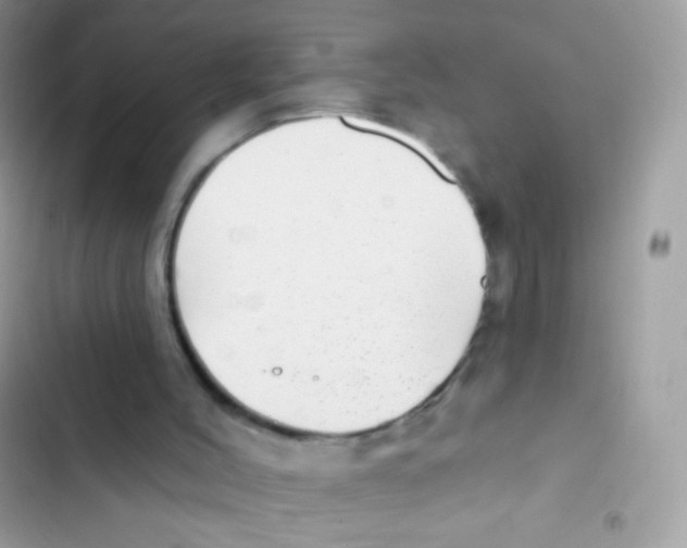 X0000103150004200809192041