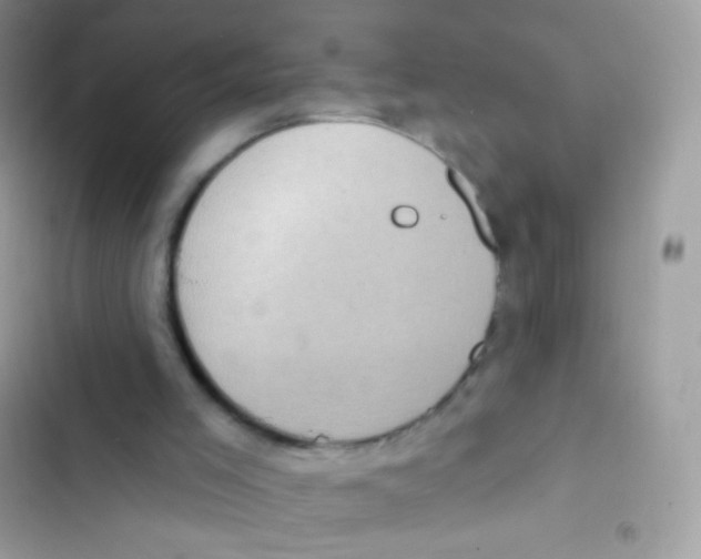 X0000103150005200809192041