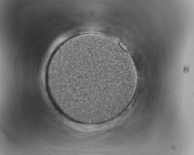 X0000103150006200809192041