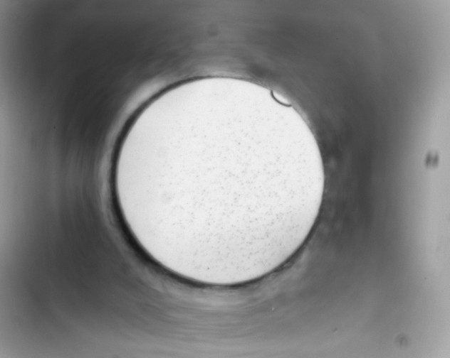 X0000103150008200809192041