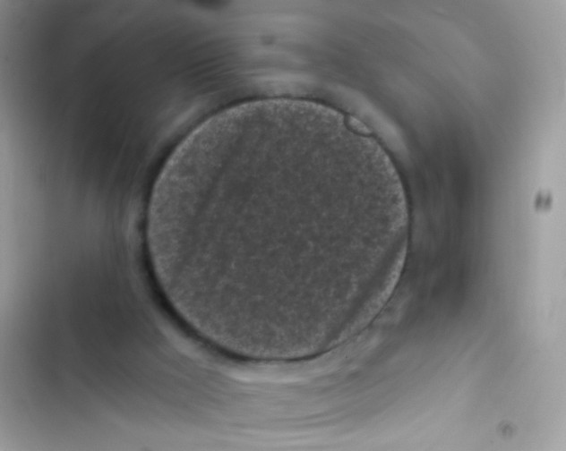 X0000103150009200809192041