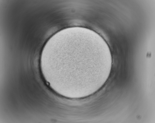 X0000103150010200809192041