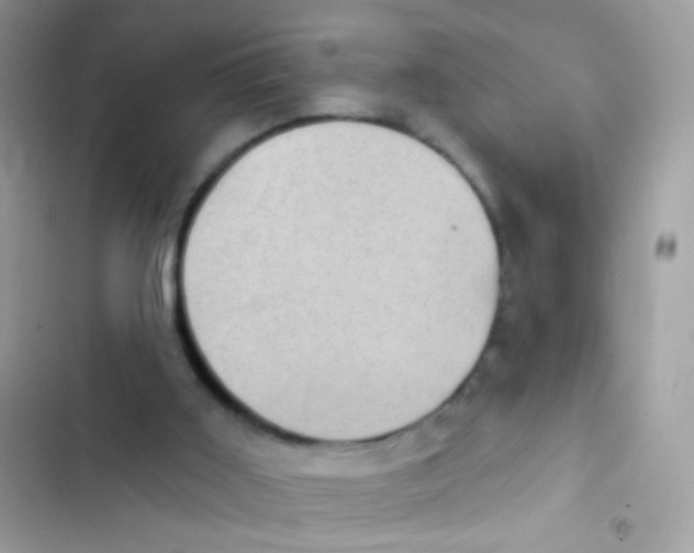 X0000103150011200809192041