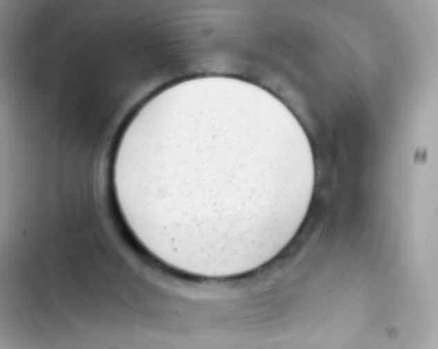 X0000103150012200809192041