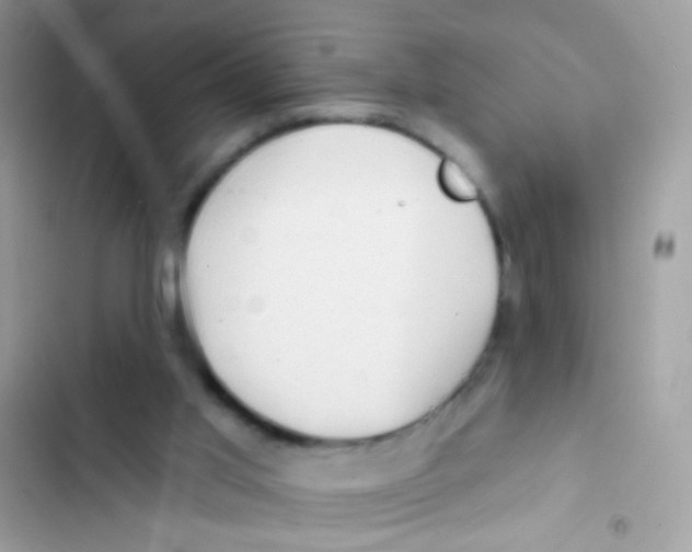 X0000103150013200809192041