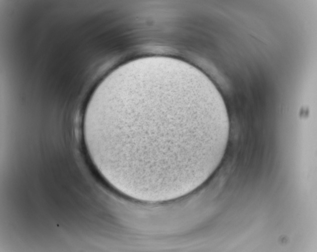 X0000103150014200809192041