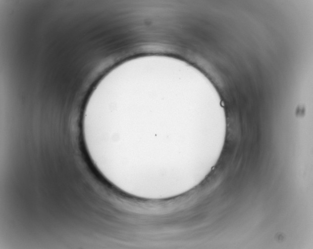 X0000103150015200809192040