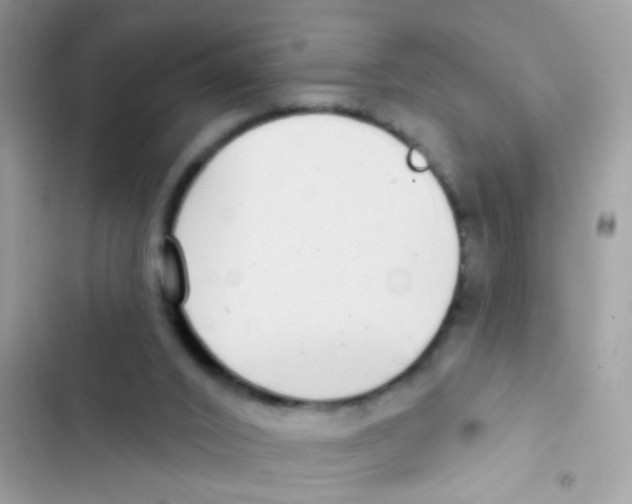 X0000103150016200809192040