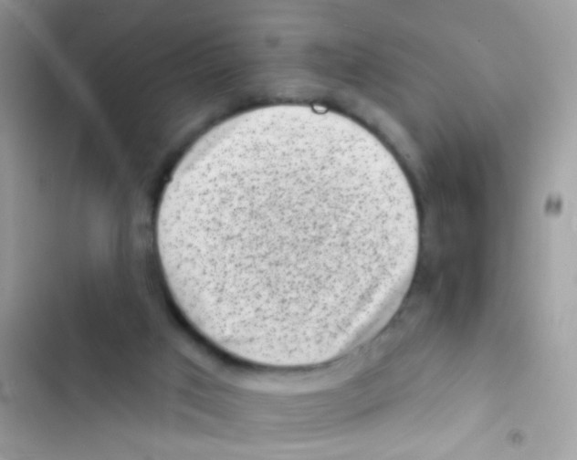 X0000103150017200809192040