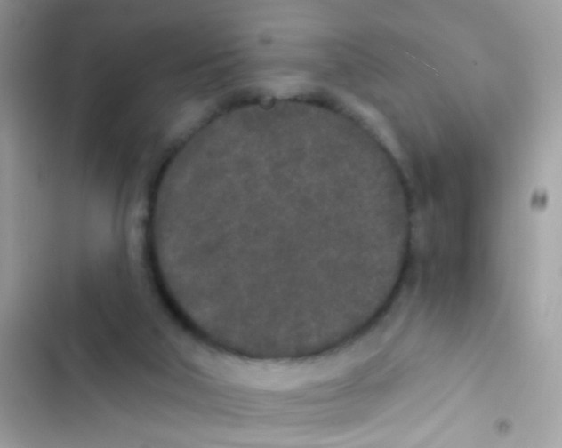 X0000103150018200809192040