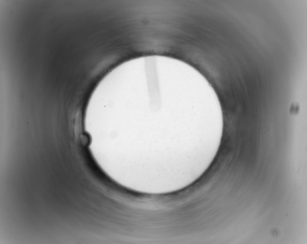 X0000103150020200809192040