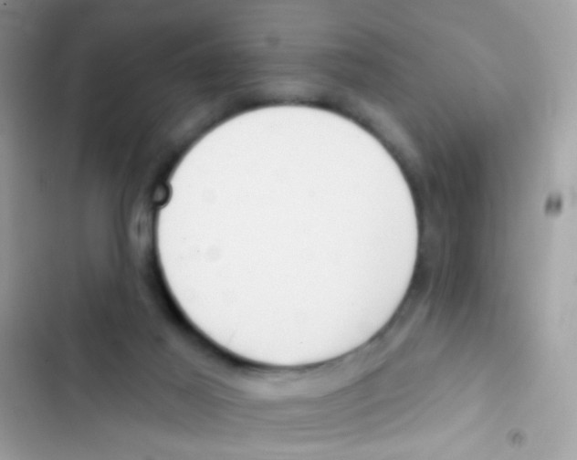 X0000103150021200809192040