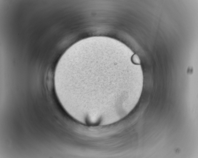 X0000103150022200809192040