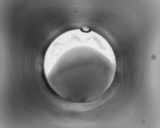 X0000103150023200809192040