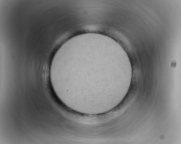 X0000103150024200809192040