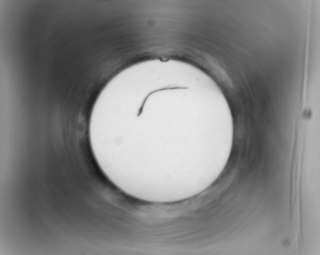 X0000103150025200809192040