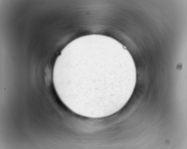 X0000103150028200809192040