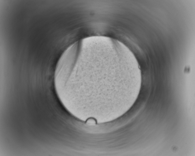 X0000103150030200809192040