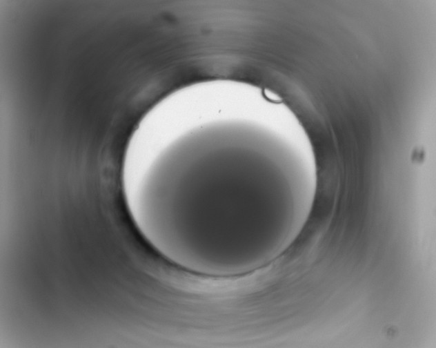 X0000103150031200809192040