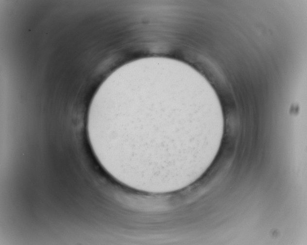 X0000103150032200809192040