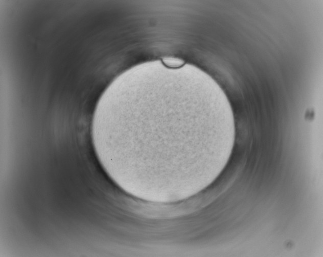 X0000103150034200809192040