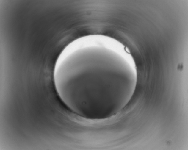 X0000103150035200809192040