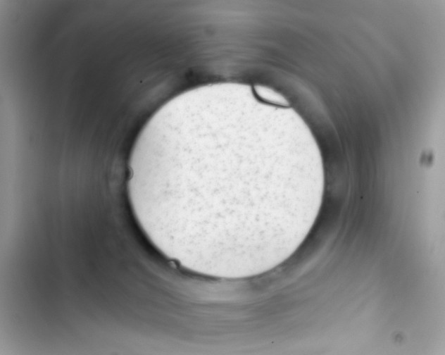 X0000103150036200809192040